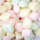 화이트노래연습장 이미지