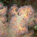 남해-292 이미지