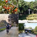 비비정공동체 | 전북 완주 가볼만한곳 성지혜윰길 당일치기 버스 여행