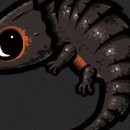 엔트리헤어 이미지