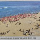 성현동-29 이미지