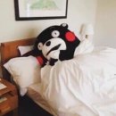 인스 이미지