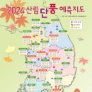 [소식] 2024년 산림 단풍 예측지도 이미지