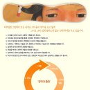 바퀴달린그림책 이미지