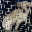 육호광장 이미지