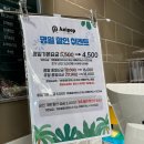 속초 만화카페_애니팝(OTT, 실내 데이트 추천) #내돈내산