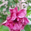 세계사와한국사 이미지