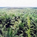 오일농장 이미지