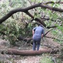 우면산7-2-9 이미지