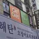 사바나 코쉬카 이미지