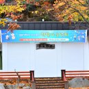 지지밸리야영장 이미지