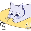 고(GO)광택 이미지