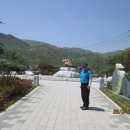 삼신봉 농장 Daum카페