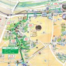 충효점 현대자동차 | 동작충효길*서달산 산책로 추천 / 한적한 동네 뒷산
