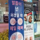 전현정미장원