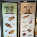 봉브레드 | [강원/속초] 속초여행 필수코스 봉브레드 마늘바게트 후기