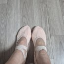 슈즈볼 | 소단사 발레 슈즈 SD16 사이즈 구매 팁과 후기 (연핑크, 보통볼, 250) 🎀👗🩰