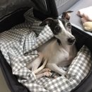 나루터식당 이미지