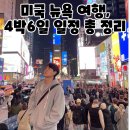 맨하탄 브릿지 PC | 미국 뉴욕 자유여행 4박 5일 일정 공유, 준비물 총 정리 (경비, 스마트패스, eSIM, 꿀팁)