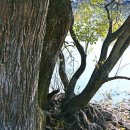 내수면환경생태공원주차장 이미지