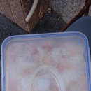 농소1동 주민센터 Daum카페