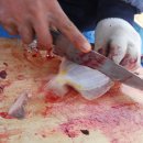 화이트하우스(솔비치) 이미지