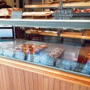 폭스브롯 이미지