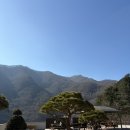 가평펜션 J스테이 | [가평 숙소] 가평 애견동반숙소 (대형견 가능) 추천 : 가평 멍스테이 펜션 후기 !