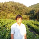 광우농장 이미지