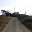 일과리-2 이미지