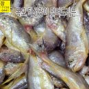 6월 3일, 황석어, 준치, 병어, 참돔, 열기, 가자미, 서대, 양태, 밴댕이, 눈볼대, 잡어, 간재미, 아귀, 홍어, 냉동, 마른생 이미지