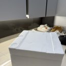 저단25 | 신부전 강아지 맞춤 화식, 도거박스 (1년동안 먹인 찐 후기)