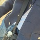 광일운수(합) | 귀하게 자란 나는 루시만 봐야해