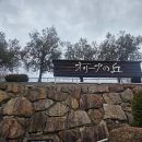 시마레스토랑 | [다카마쓰 여행] 쇼도시마 올리브공원 맛집 레스토...세토내해 뷰 보며 먹는 올리브 비빔밥 점심 후기