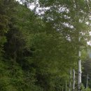 야산마을진입로 이미지