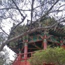 김영락 | 영남내륙(예천,봉화,영양)기행(2박3일)04, 회룡포 전망대와 마을 산책