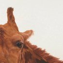 금암도서관 이미지