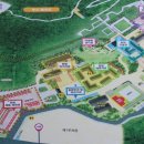 소백산희귀약초