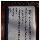 제41강 【묘제】 문중이 아닌 서원이 주관하여 행하는 한훤당 김굉필 선생 묘제(2) 이미지