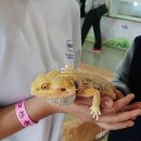전북 아이랑 가볼만한 곳 : 익산 다이노키즈월드 &amp; 액션하우스 체험학습 강추!