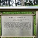 박안건 묘소 네이버블로그