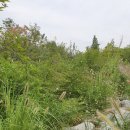 미사마이펫동물병원 이미지