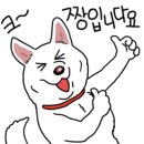 알레아베크