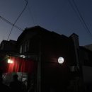 서교연등천길 | [여수 여행] 서시장 맛집 포차 한꾼에 88 포장 후기 : 매운돼지갈비찜과 금풍생이