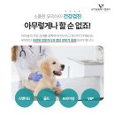 브이케어동물병원 이미지
