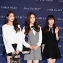 신비 카카오 검색결과