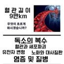 먹거리연구소 네이버블로그