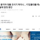 디딤돌 마트 | 얼레벌레 30세 미만 생애최초 디딤돌대출 후기 1편(가계약, 기금e든든 대출신청, 은행컨텍)