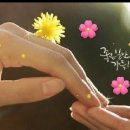 오늘이크리스마스라면