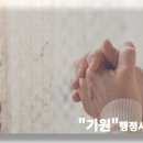 행정사이기원 이미지